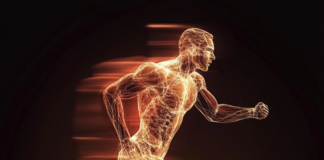 Cardio vs. Strength Training: Finding the Right Balance for You Featured image of an athlete mastering advanced cardio and strength training in a high-performance gym.