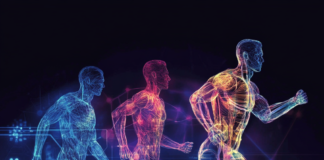 Expert Advice on Preventing and Managing Sports Injuries Featured composite image showcasing sports injuries, physiotherapy, and preventive exercises.